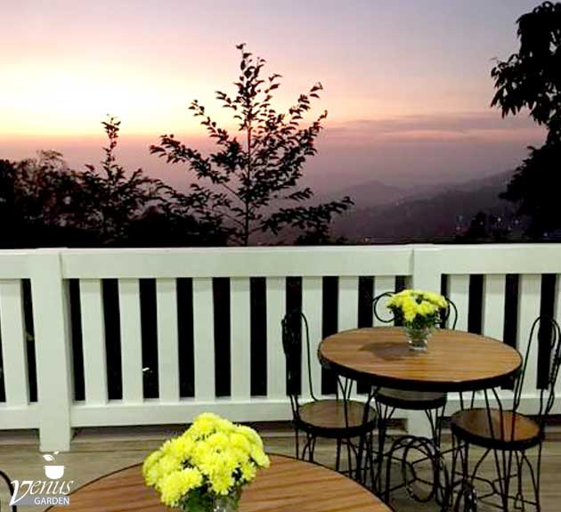 Venus Garden in Baguio City