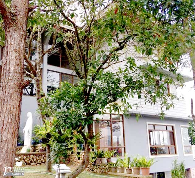 Venus Garden in Baguio City