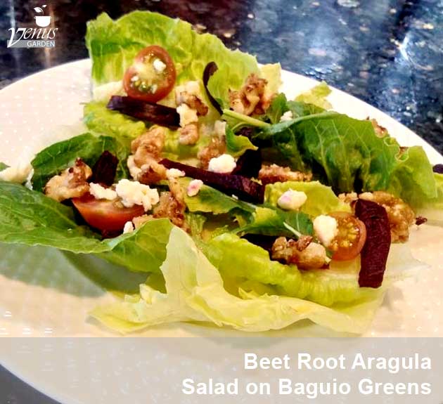 beet root arugula salad on Baguio greens in Venus Garden