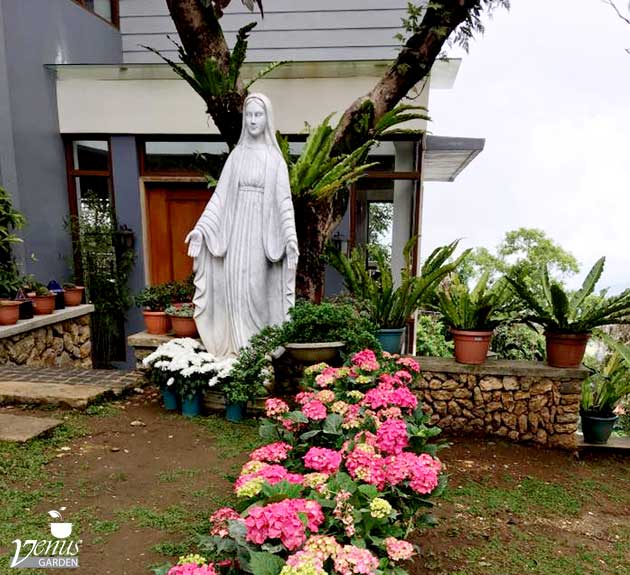 Venus Garden in Baguio City
