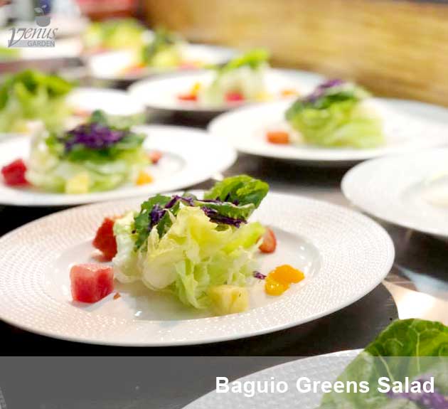 Baguio greens salad in Venus Garden