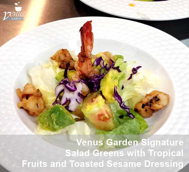 salad greens in Venus Garden